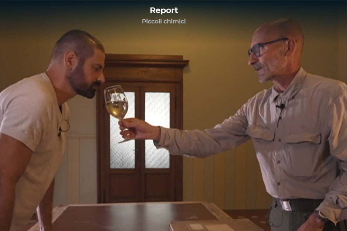 Report attacca gli enologi: «Piccoli chimici». Settore in rivolta